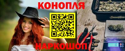 герыч Кингисепп