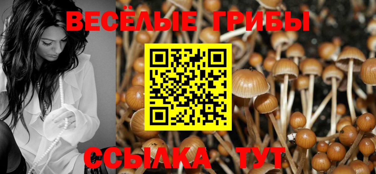 Псилоцибиновые грибы прущие грибы  Вход с VPN  Галлюциногенные грибы мицелий  Заволжье 