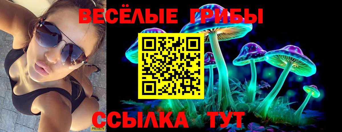 Галлюциногенные грибы MAGIC MUSHROOMS Заволжье